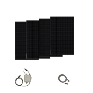 Balkonkraftwerk bestehend aus Deye Inverter und Sunshare Ray Modulen